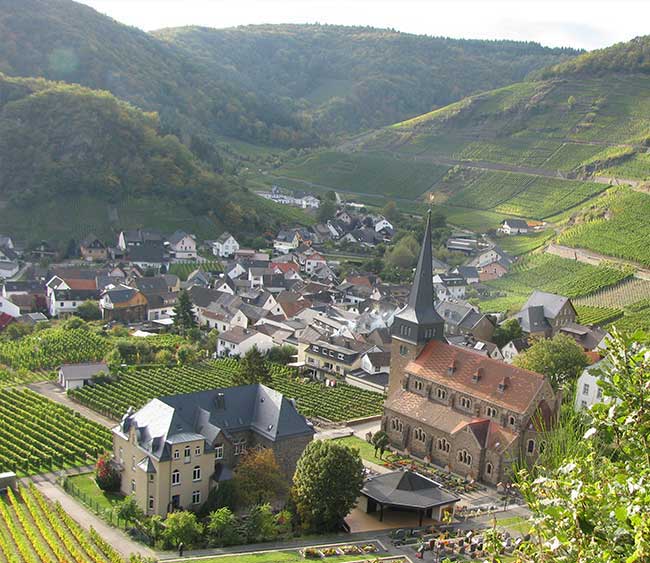 European Living by Sonja Travel
